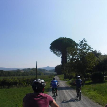 Podere Ripi Volterra Zewnętrze zdjęcie
