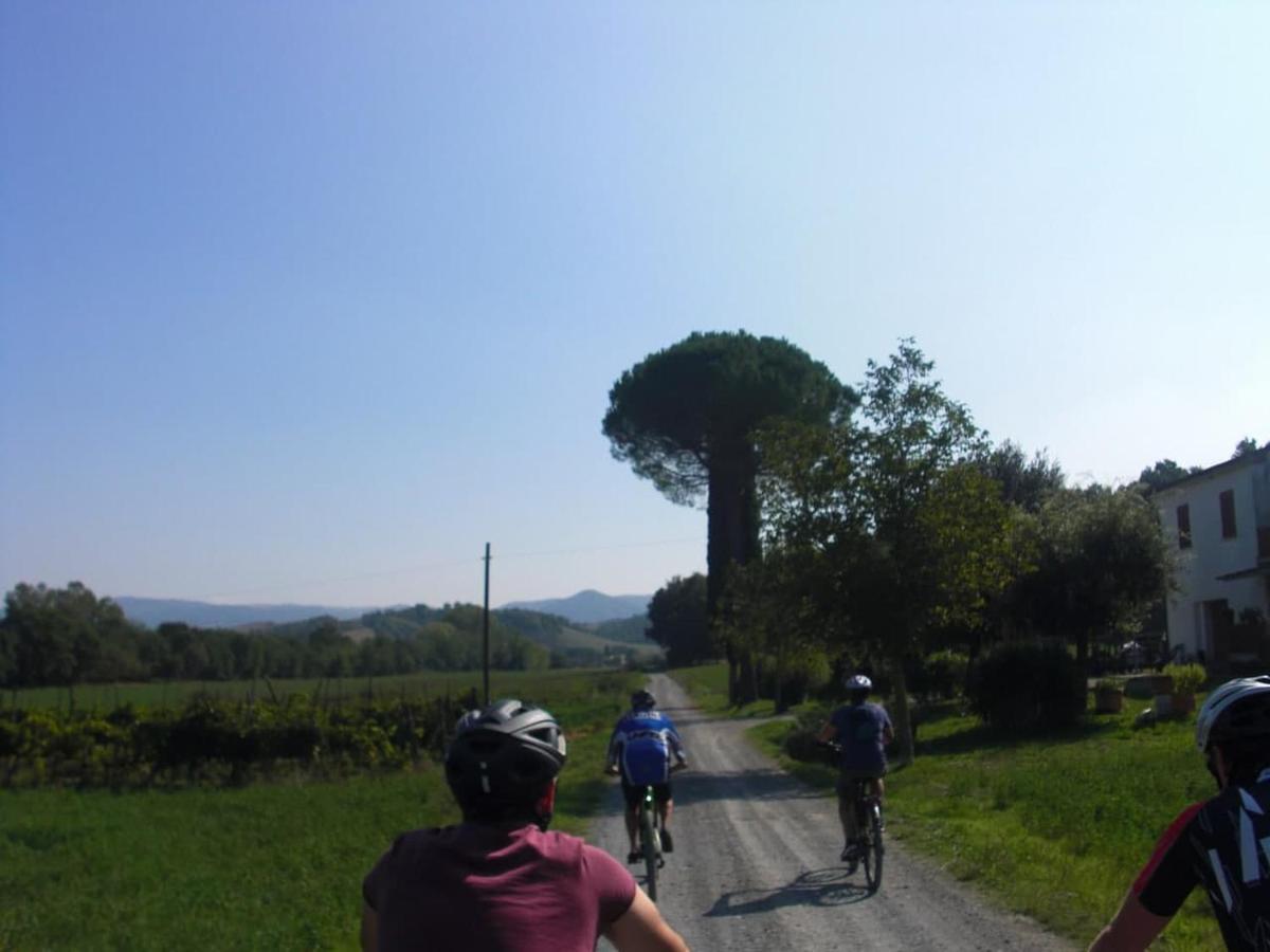 Podere Ripi Volterra Zewnętrze zdjęcie