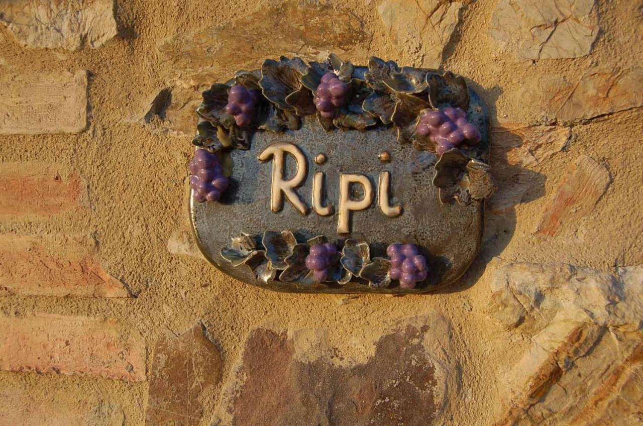 Podere Ripi Volterra Zewnętrze zdjęcie